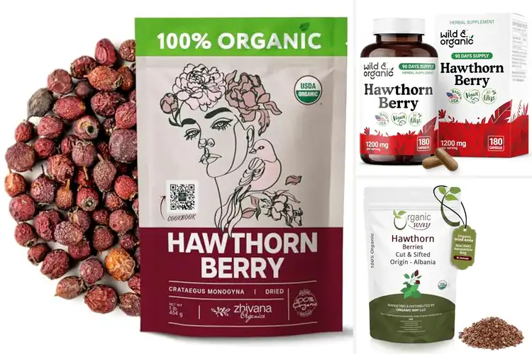 Detailed view of Best Wildcrafted Organic Hawthorn Berries