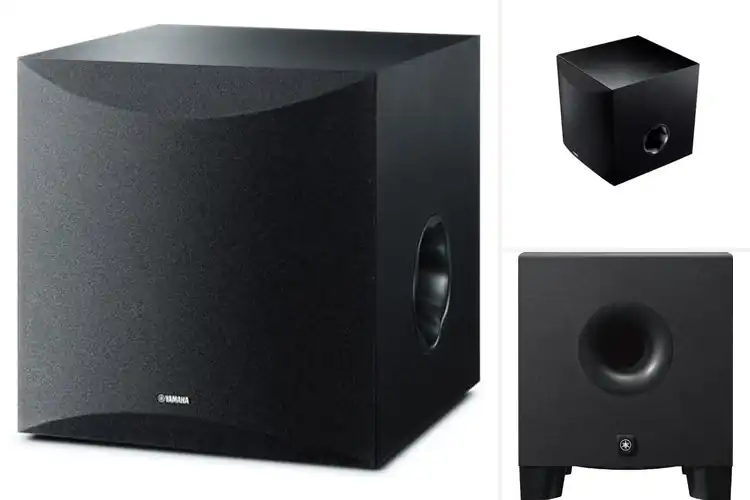 Detailed view of Best Yamaha Subwoofers